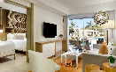Falcon Beyond Suite Swim Up
