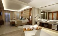 Majestic Mirage Punta Cana Dominican Republic - Swim Up Outdoor Jacuzzi