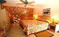 Accra Beach Hotel - Barbados W.I.island view