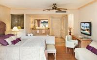 Excellence Punta Cana Dominican Republic - Junior Suite Mountain View