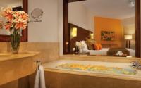 Now Larimar Punta Cana Dominican Republic - Deluxe Tropical View