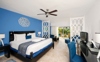 Blue and Sand Privilege Jr  Suite