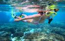 Grand Bahia Principe Cayacoa Samana Dominican Republic - Snorkel