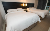 hilton rosehall mountain view  two queen 