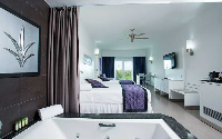 Riu Palace Jamaica Junior Suite Accessible