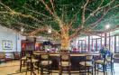  Jewel Dunn's Rivier Beach Resort & Spa - Emerald Tree Lounge
