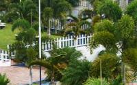 Tropics View Hotel & Suites - Jamaica - South Coast