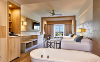 Riu Palace Baja California Cabo Jr Suite
