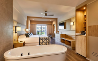 Riu Palace Baja California Courtyard Jr Suite 