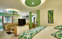 Riu Tequila Jr Suite