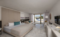 Platinum Yucatan Princess Deluxe Junior Suite Swimout 