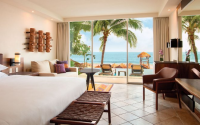 Hyatt Ziva Puerto Vallarta Mexico - Swim Up King