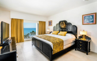 Riu Vallarta Suite Oceanview 