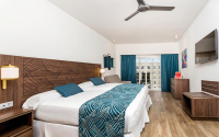 Riu Vallarta double room 