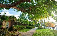Sandals Halcyon Beach - St. Lucia